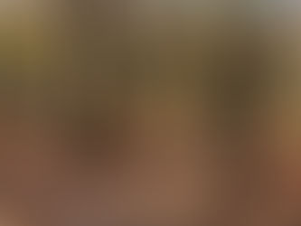 Waterbar Installation at Blackstone Conservancy