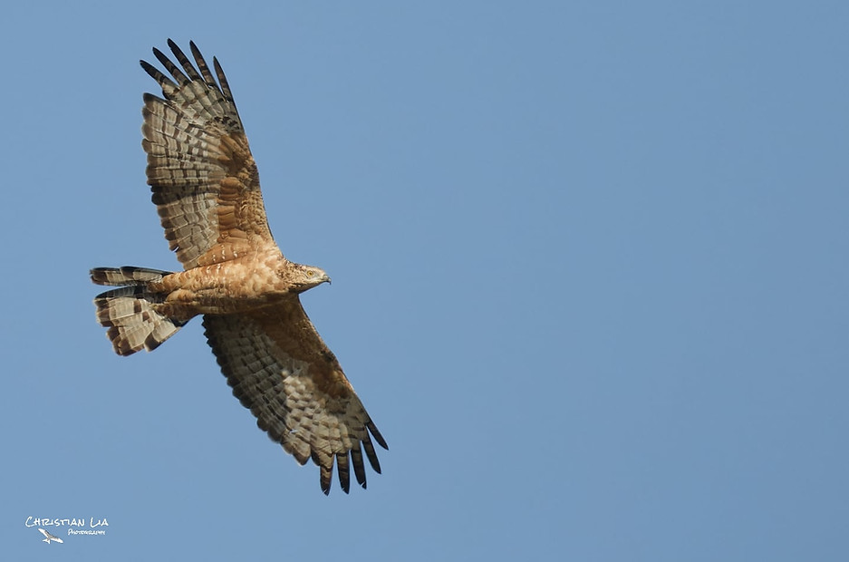 WhatsApp Image 2024-09-25 at 11.51.34 (2).jpeg