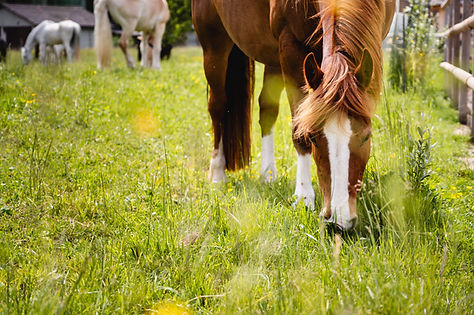 keller_20250519__DSC6745_©simonadietiker.jpg