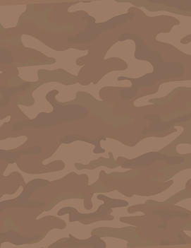 Shoot Out Background.png