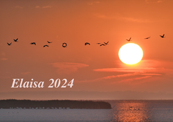 Kalender 2024