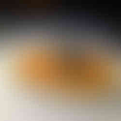 Qatar Airways A380 Business Class Review Sam's Smoked Salmon Terrine