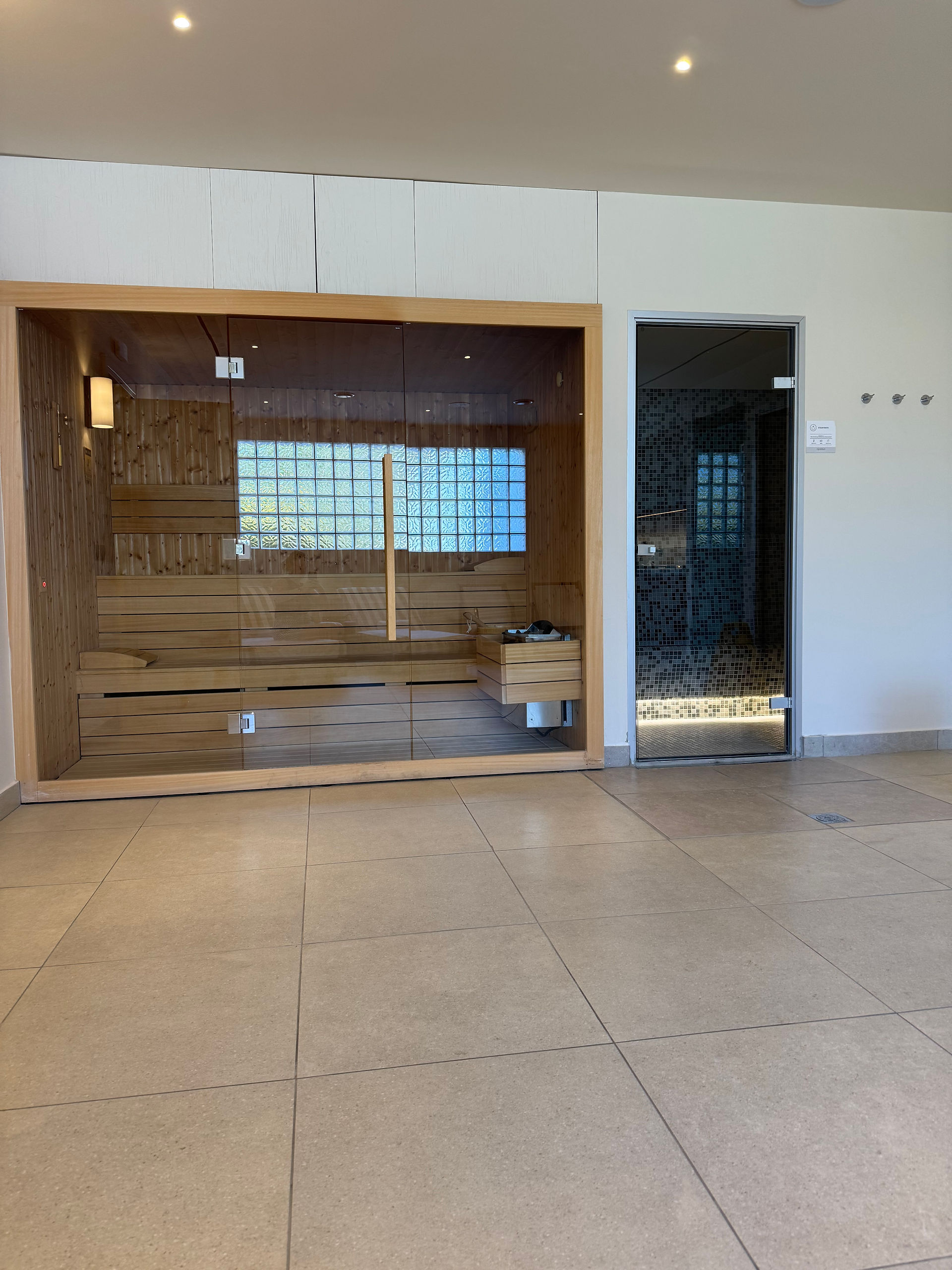 Sauna and steam room