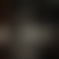 The Toilets in the No.1 Lounge Gatwick North, individual cubicle