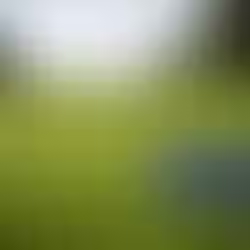 News You May Have Missed at Points Well Made - 5th April