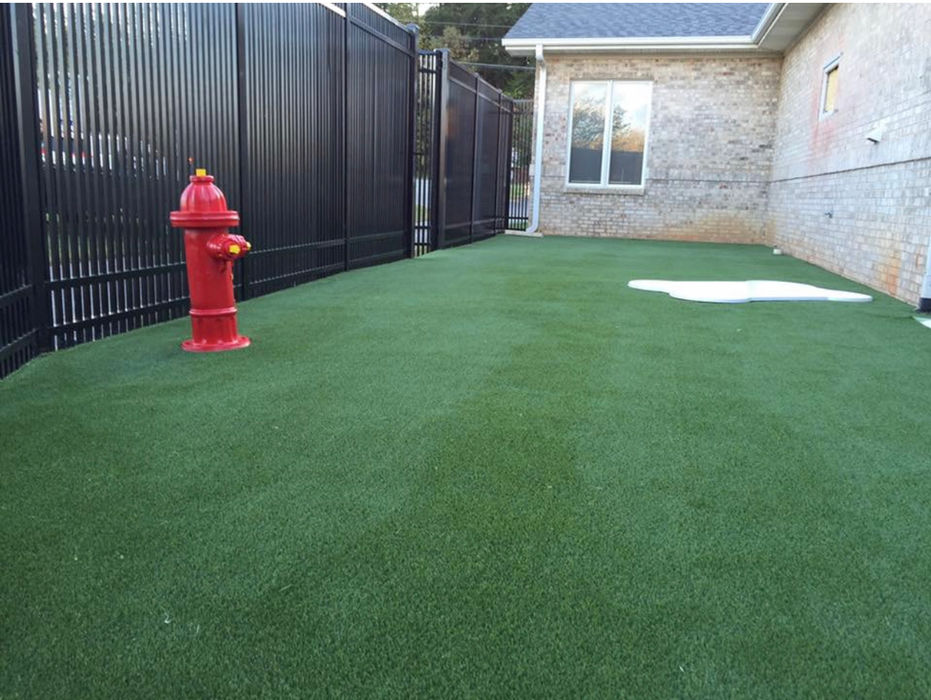 Dog Park Turf Fire Hydrant