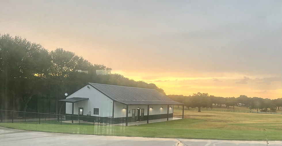 coleman frenchie farm