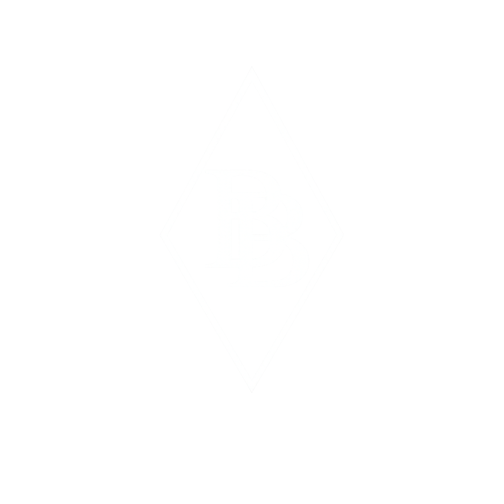 logo bin bros.png