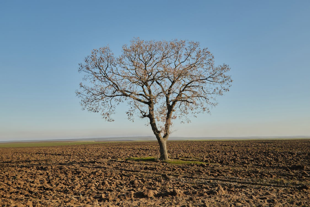 ree