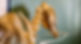 _L2_6525_edited.jpg
