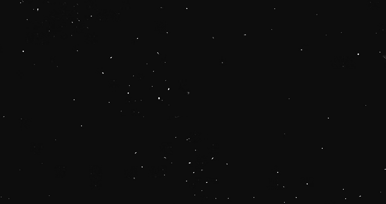 BG.png