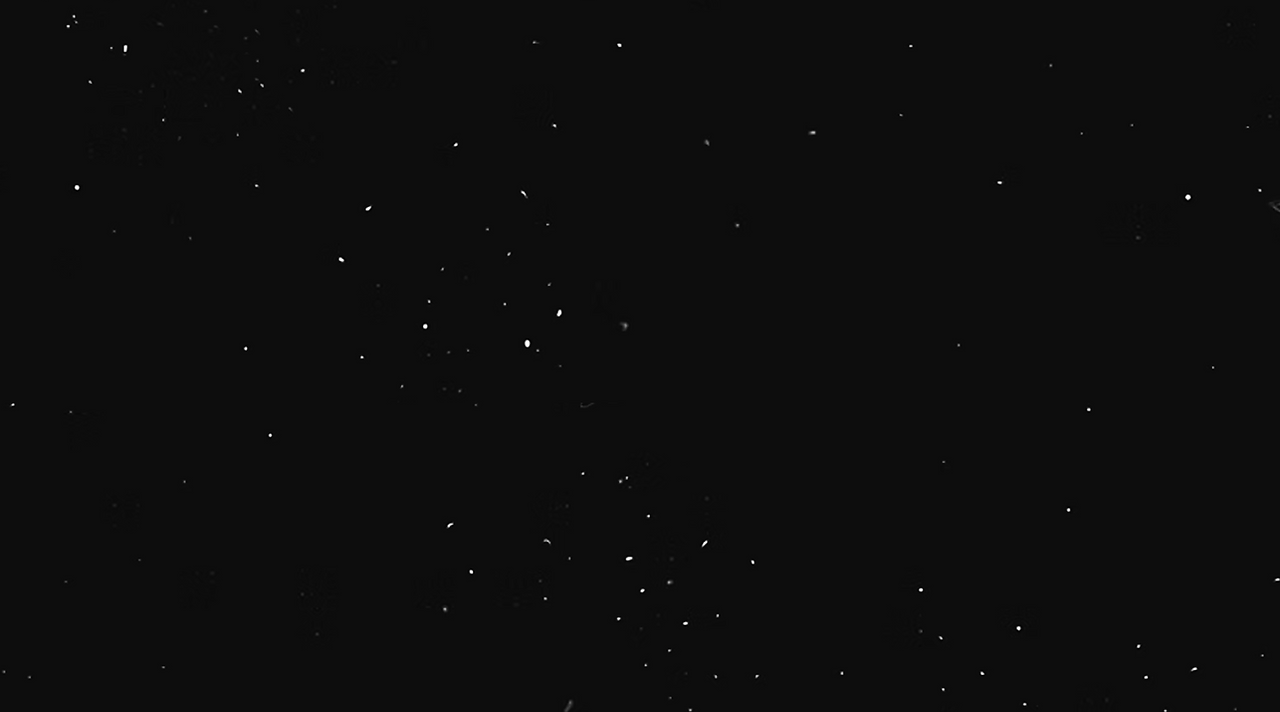 BG.png