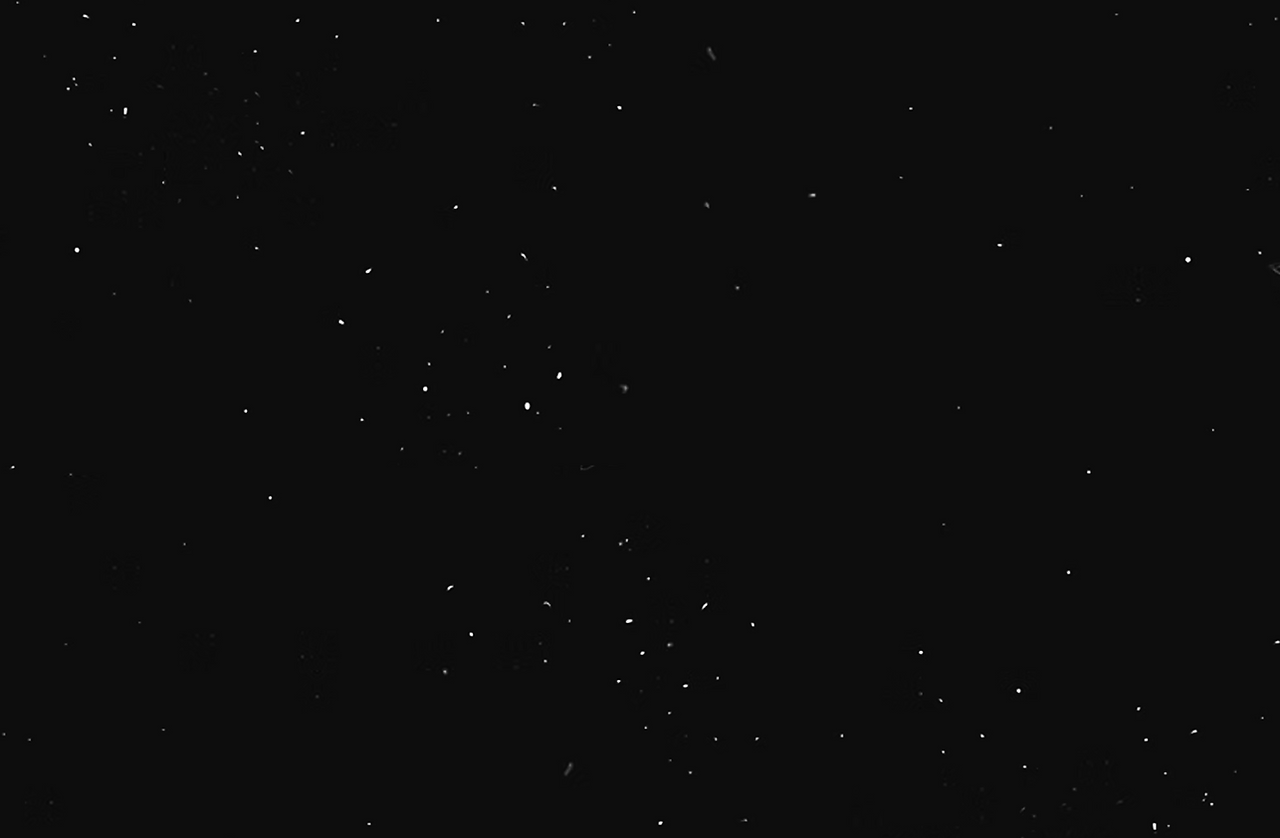 BG.png