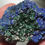 Thumbnail: Azurite, Malachite and Cerussite - Rep. Congo