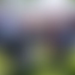 V balíku se šlape líp – i mimo trať