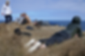 cruisey-walk.png