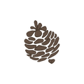 Pomme de pin 3