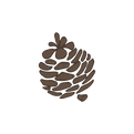 パインコーン3