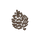 Pine Cone 3