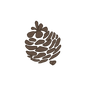 Pine Cone 3