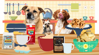 Wicked Easy Homemade Dog Treats