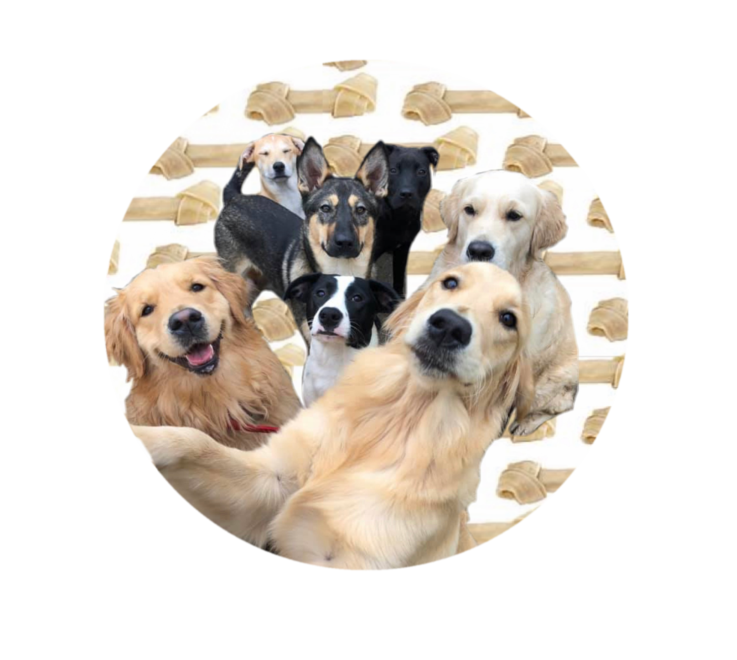 rawhide chews safe for puppies