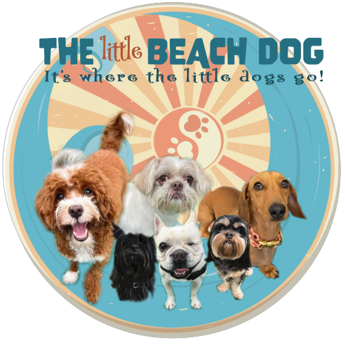 A group of small dog breed dogs with a banner that reads "Little beach dog FAQ Page"
