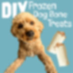  Curly hair blonde dog wit DIY Frozen Dog Treats