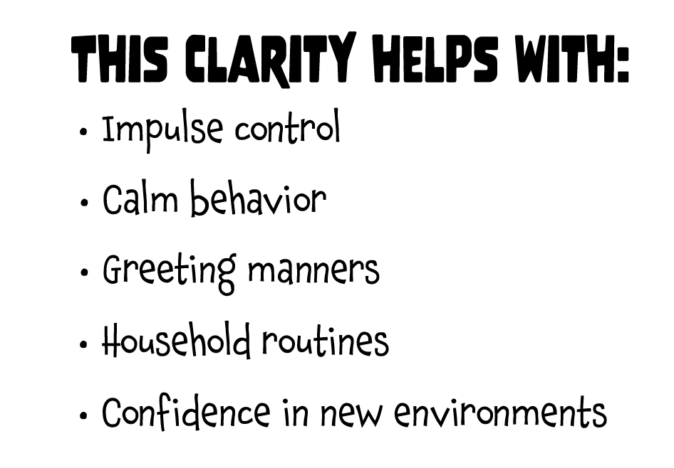 This clarity helps with:





Impulse control



Calm behavior 



Greeting manners



Household routines



Confidence in new environments

