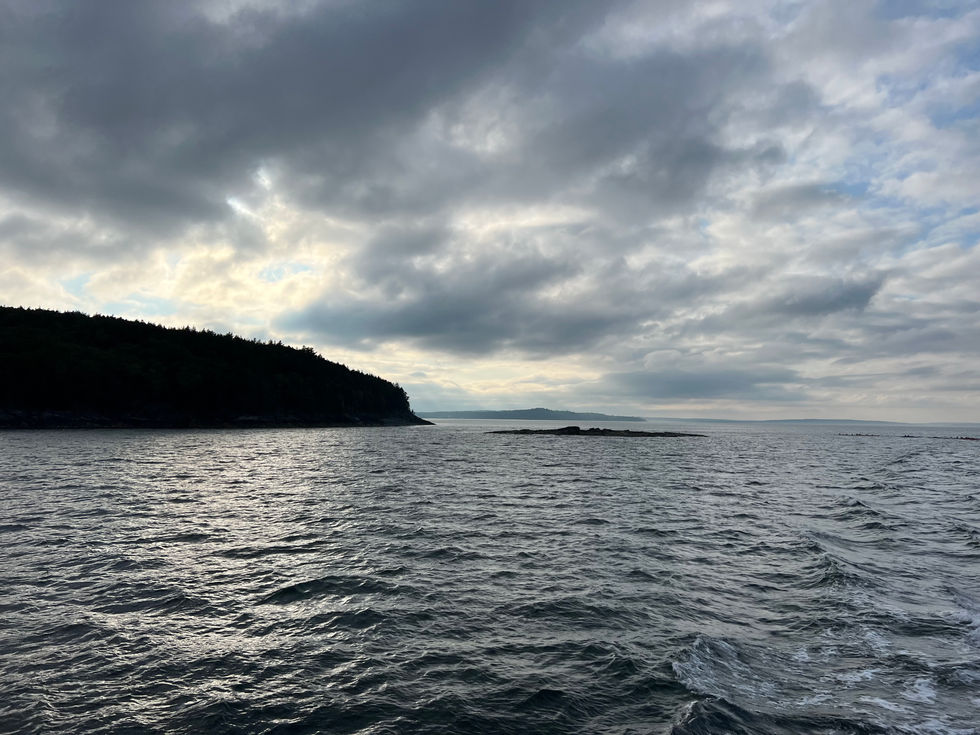 IMG_7403.jpeg