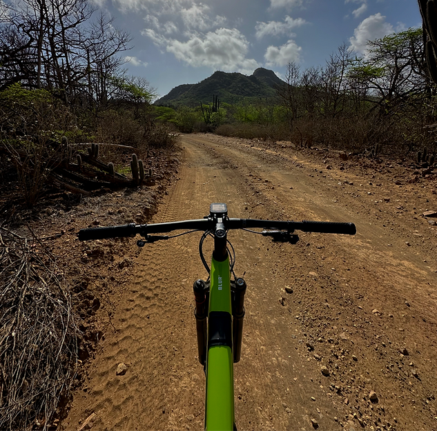 Bonaire MTB trail - Flamingo Bikes_edited.png