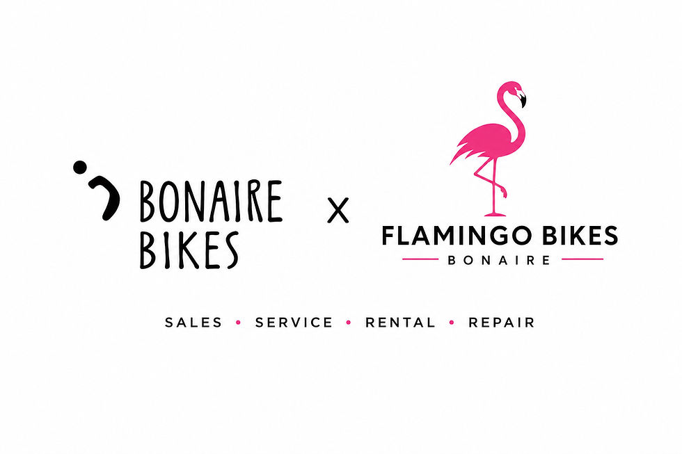 Flamingo Bikes & Bonaire Bikes slaan de handen ineen
