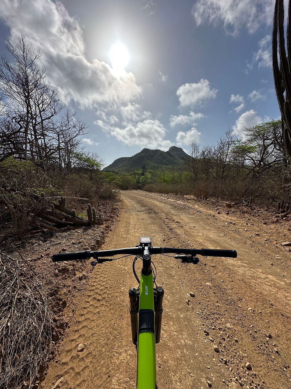 Waarom mountainbiken op Bonaire op jouw bucketlist hoort te staan