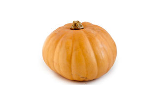 The Best Vegan Pumpkin Spice Products to “Spice” Up Your October