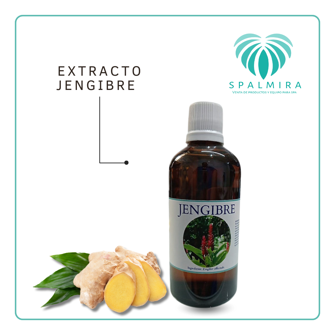 EXTRACTO JENGIBRE 100ML