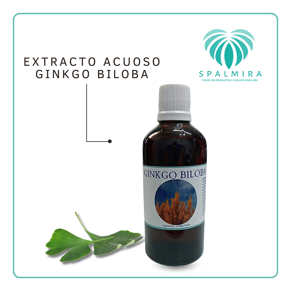 EXTRACTO ACUOSO GINKGO BILOBA 100ML