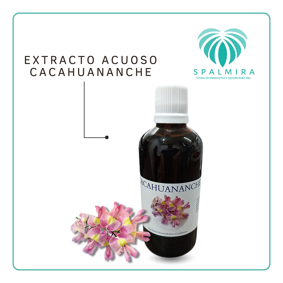 EXTRACTO ACUOSO CACAHUANANCHE 100ML