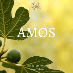 Amos