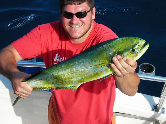 chumming for mahi-mahi.jpeg