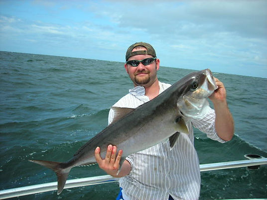 Amberjack & Weston.jpeg