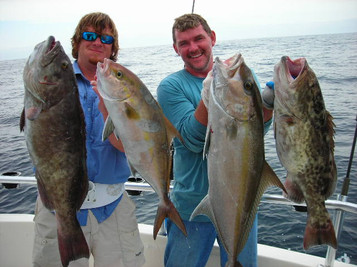 Grouper & Amberjack