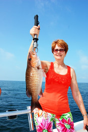 Mangrove Snapper