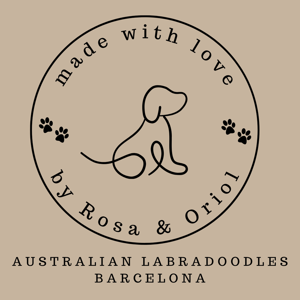 Australian Labradoodle Breeder