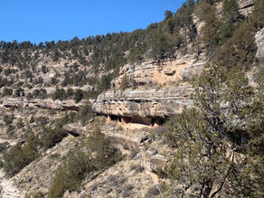 Arizona Surprises