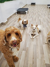 WhatsApp Image 2022-03-03 at 1.17.58 PM (1).jpeg