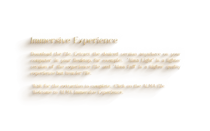 immersive experience texto ingles.webp