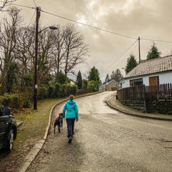 1st left before the white bungalow. Follow this road for approx 3/4 mile Secret Waterfall in ancient oak woodland Celtic Rainforest Maentwrog North Wales. Walk from Snowdonia Holidays Tyddyn du Farm Eryri Self Catering luxury dog friendly accommodation with cute farm animals. Hotel in Snowdonia