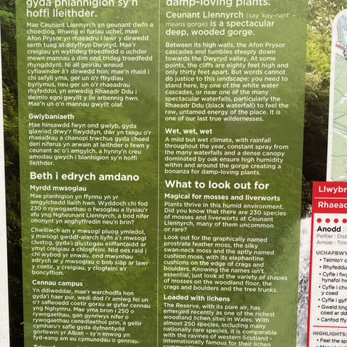 Information sign at Ceunant Llennyrch Secret Waterfall in ancient oak woodland Celtic Rainforest Maentwrog North Wales. Walk from Snowdonia Holidays Tyddyn du Farm Eryri Self Catering luxury dog friendly accommodation with cute farm animals. Hotel in Snowdonia