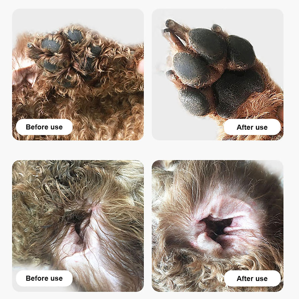 Thumbnail: Dog Hair Trimmer Electric Dog Cutter Professional Pet Foot Hair Trimmer Cat Groo