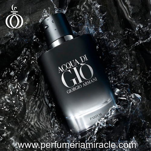 Giorgio Armani Acqua Di Gio Pafum 100ml - Refillable | Perfumería